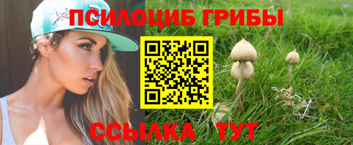 Псилоцибиновые грибы прущие грибы  Псилоцибиновые грибы Psilocybine cubensis  Надым  Вход с VPN 